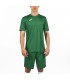 Joma T-Shirt Combi MC Vert