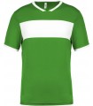 Volwassene Shirt korte mouwen - Groen Wit