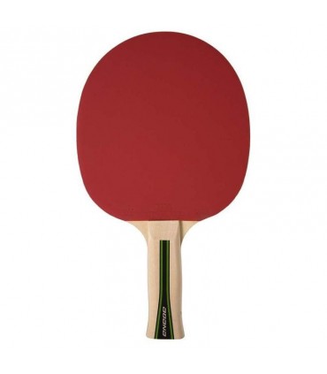 Ping pong Paddel Enebe Equipo 400