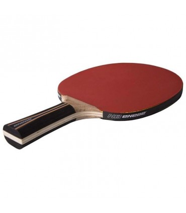 Ping pong Paddel Enebe Equipo 500