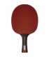 Ping pong Paddel Enebe Select Team 600