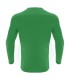 10 x match jersey long sleeves Rigel hero green