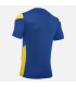 10 x match jersey Polis royal - yellow