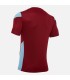 10 x wedstrijdshirts Polis bordeaux - sky
