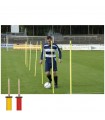 Slalom Poles 1.6m