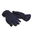 Gants polaires hanschoenen in polaar